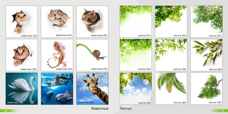 Фотопечать на натяжном потолке Сейчас фотопечать на натяжном потолке на пике популярности. Возможность украсить свой интерьер и сделать его неповторимым привлекает все больше и больше. Забавный котенок в детской, причудливая улитка в ванной, шикарный вид ночного мегаполиса в гостиной и тысячи других идей готов предложить Вам наш дизайнер. Натяжные потолки с фотопечатью также сохраняют все преимущества натяжных потолков и соответствуют всем необходимым стандартам.Как подобрать фотопечать на натяжной потолок? Мы предлагаем Вам на выбор несколько вариантов: