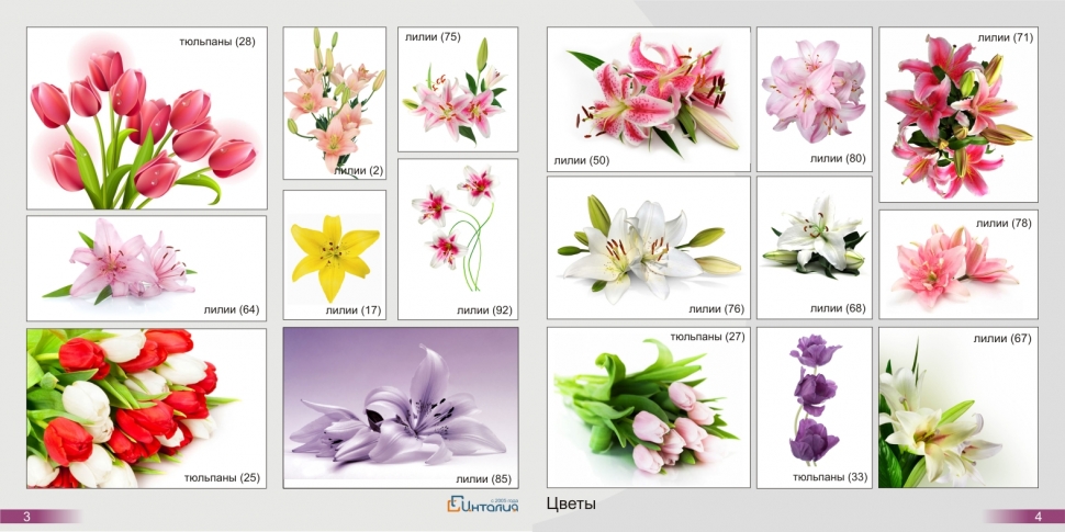 Фотопечать на натяжном потолке Сейчас фотопечать на натяжном потолке на пике популярности. Возможность украсить свой интерьер и сделать его неповторимым привлекает все больше и больше. Забавный котенок в детской, причудливая улитка в ванной, шикарный вид ночного мегаполиса в гостиной и тысячи других идей готов предложить Вам наш дизайнер. Натяжные потолки с фотопечатью также сохраняют все преимущества натяжных потолков и соответствуют всем необходимым стандартам.Как подобрать фотопечать на натяжной потолок? Мы предлагаем Вам на выбор несколько вариантов: