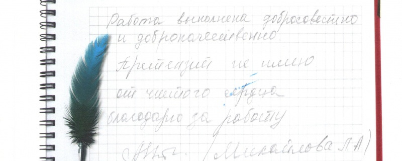 От чистого сердца благодарю за работу!