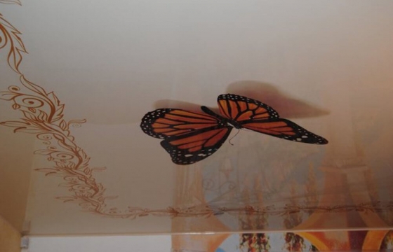 19_1001x661 3D потолки,натяжные 3D потолки Необходимое освещение для 3D натяжного потолка вы можете купить в нашей компании при заказе натяжного потолка.Безусловно, натяжные потолки с эффектом 3D это самый атмосферный вариант украшения интерьера. Наверняка вы видели 3D-граффити, которое буквально разрывает реальность и наполняет ее самым невообразимым? Теперь представьте, что такого же потрясающего эффекта можно достигнуть благодаря натяжным потолкам 3D.