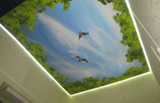 парящие натяжные потолки,парящий натяжной потолок За парящий натяжной потолок говорит его название: благодаря необычной конструкции создается эффект того, что он подвешен в воздухе и не касается стен. Это конечно же не магия – основной «фишкой» конструкции парящего натяжного потолка служит светодиодная лента между потолком и стеной, направленный свет от которой создает эффект «парения». Вариантов такого потолка великое множество: начиная от выбора формы заканчивая цветом подсветки.