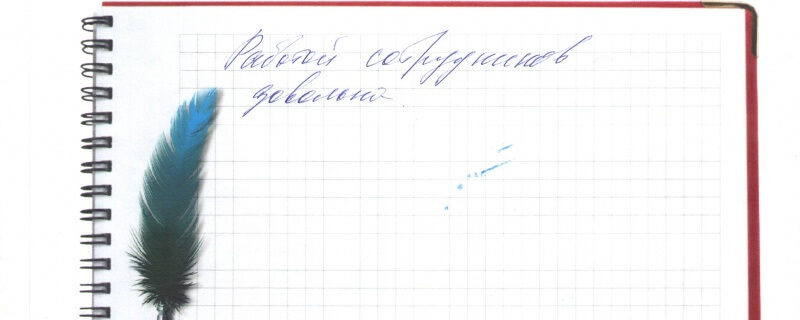 Работой сотрудников довольна