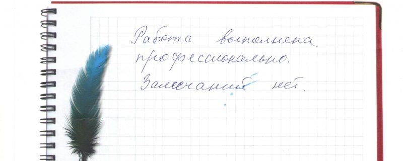 Работа выполнена профессионально. Замечаний нет.