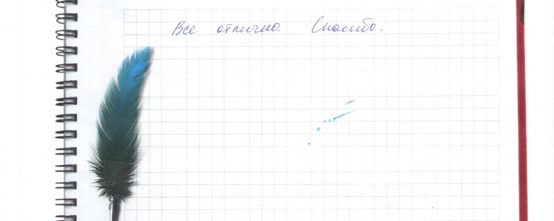 Все отлично. Спасибо.