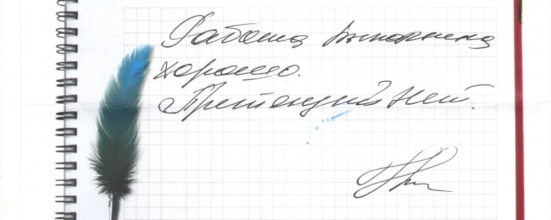 Работа выполнена хорошо. Претензий нет.