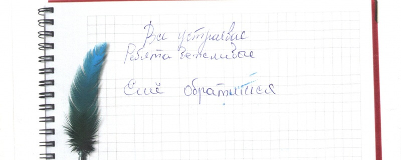 Все устраивает. ребята вежливые. Обратимся еще.