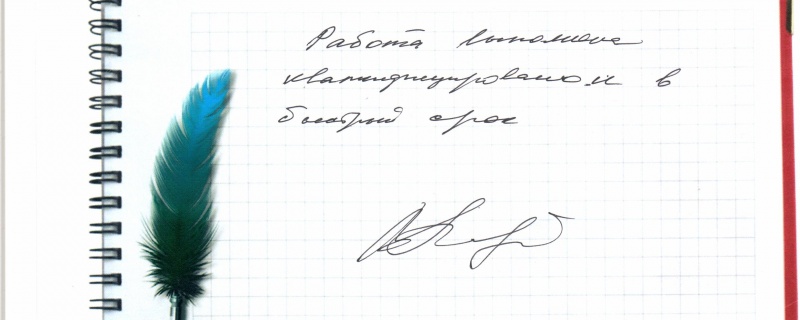 Работа выполнена квалифицированно и в быстрый срок