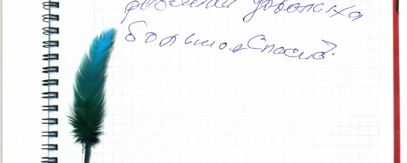 Работой довольна большое спасибо