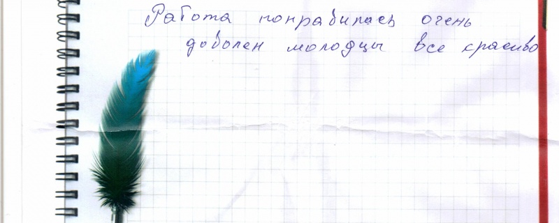 Работа понравилась, очень доволен, молодцы все красиво