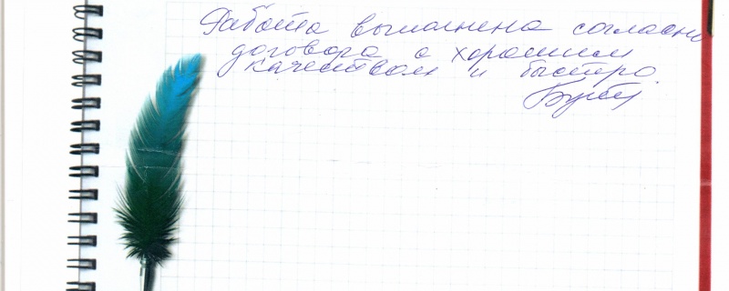 Работа выполнена согласно договора с хорошим качеством и быстро