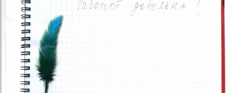 Работой довольны!