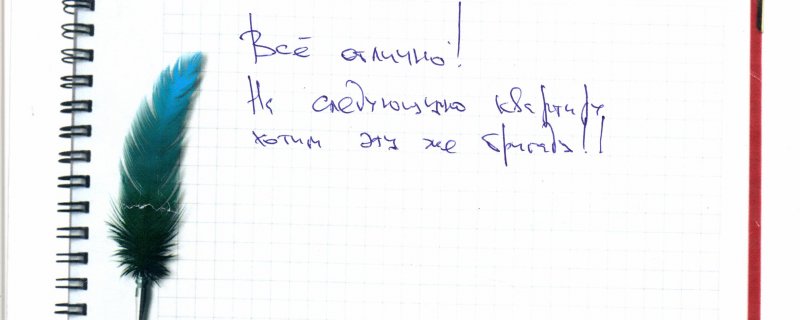 Все отлично! На следующую квартиру хотим эту же бригаду!