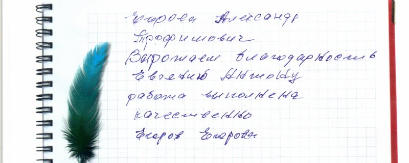 Егоров Александр Трофимович.Выражаем благодарность Евгению работа выполнена качественно