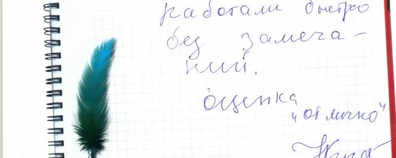 Работали быстро без замечаний.Оценка "отлично"