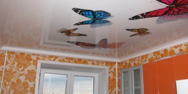 Фотопечать на натяжном потолке Сейчас фотопечать на натяжном потолке на пике популярности. Возможность украсить свой интерьер и сделать его неповторимым привлекает все больше и больше. Забавный котенок в детской, причудливая улитка в ванной, шикарный вид ночного мегаполиса в гостиной и тысячи других идей готов предложить Вам наш дизайнер. Натяжные потолки с фотопечатью также сохраняют все преимущества натяжных потолков и соответствуют всем необходимым стандартам.Как подобрать фотопечать на натяжной потолок? Мы предлагаем Вам на выбор несколько вариантов: