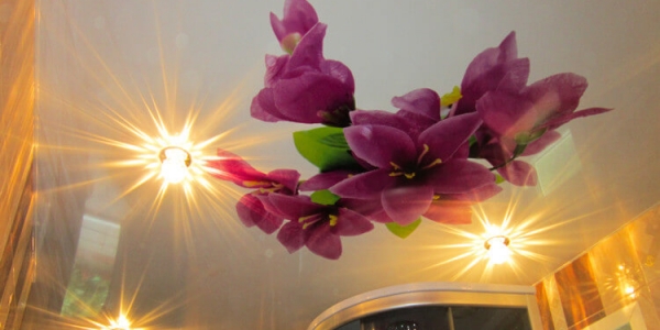 Фотопечать на натяжном потолке Сейчас фотопечать на натяжном потолке на пике популярности. Возможность украсить свой интерьер и сделать его неповторимым привлекает все больше и больше. Забавный котенок в детской, причудливая улитка в ванной, шикарный вид ночного мегаполиса в гостиной и тысячи других идей готов предложить Вам наш дизайнер. Натяжные потолки с фотопечатью также сохраняют все преимущества натяжных потолков и соответствуют всем необходимым стандартам.Как подобрать фотопечать на натяжной потолок? Мы предлагаем Вам на выбор несколько вариантов: