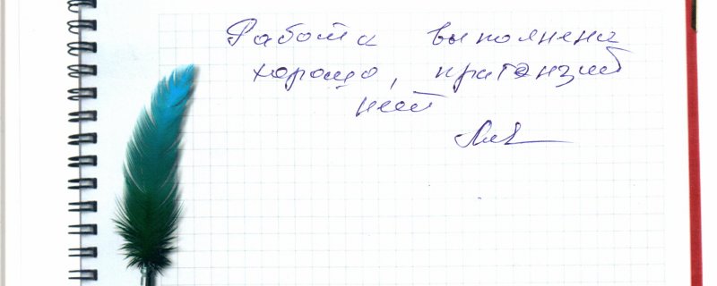 Работа выполнена хорошо,претензий нет