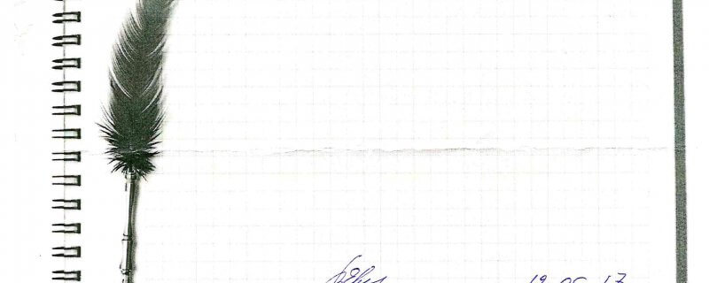 Спасибо за работу.