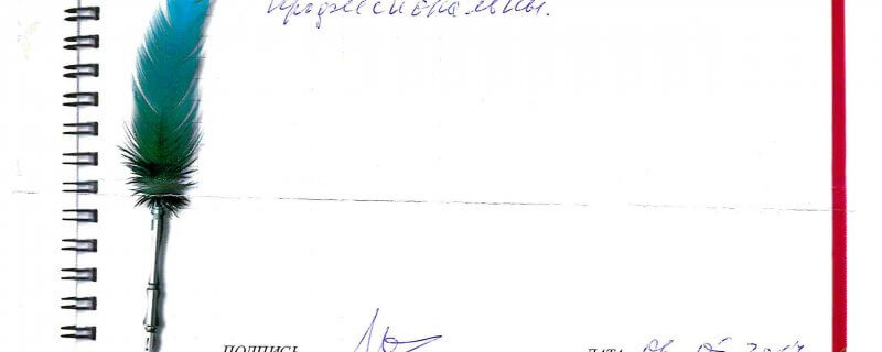 Работой фирмы довольны.Все сделано в срок и качественно.Ребята внимательны и профессиональны.