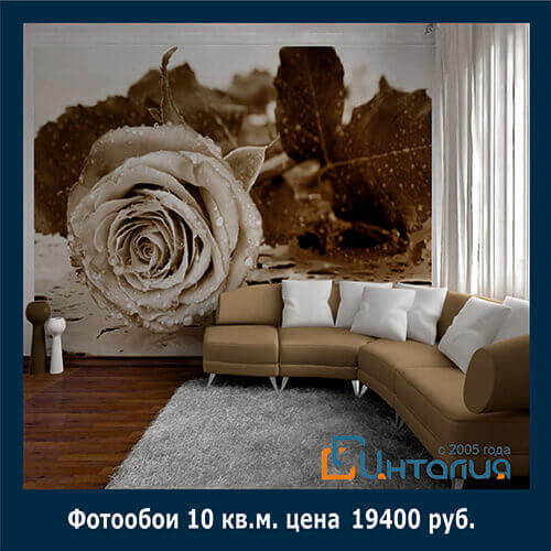 Фотопечать на обоях, фотообои Фотообои — отличный выбор для создания необычного и модного интерьера в помещении. Красочные и яркие они помогут привнести в оформление комнаты особый шарм и индивидуальность. Мы поможем подобрать Вам фотообои, которые станут главным украшением Вашего интерьера. Убедиться в этом Вы сможете посмотрев нашу галерею.JTNDaW5wdXQlMjB0eXBlJTNEJTIyYnV0dG9uJTIyJTIwdmFsdWUlM0QlMjIlM0MlM0MlMjAlRDAlOUQlRDAlOTAlRDAlOTclRDAlOTAlRDAlOTQlMjIlMjBvbmNsaWNrJTNEJTIyaGlzdG9yeS5iYWNrJTI4JTI5JTIyJTNF