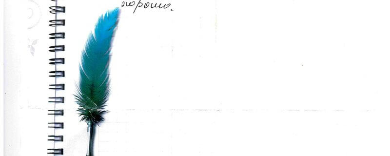 Спасибо! сделали быстро и хорошо.