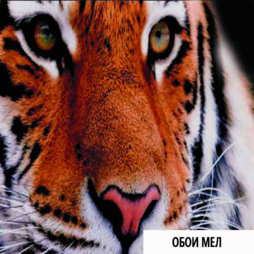 фотообои купить Фактура фотообоев это основа для нанесения фотопечати. Фактуры как правило имеют рельефную поверхность, имитирующую тот или иной материал, например холст или живопись.