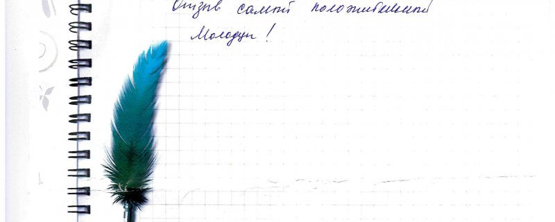 2 октября Отзыв о натяжном потолке по договору №2887 "Отзыв самый положительный.."