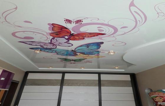 Фотопечать на натяжном потолке Сейчас фотопечать на натяжном потолке на пике популярности. Возможность украсить свой интерьер и сделать его неповторимым привлекает все больше и больше. Забавный котенок в детской, причудливая улитка в ванной, шикарный вид ночного мегаполиса в гостиной и тысячи других идей готов предложить Вам наш дизайнер. Натяжные потолки с фотопечатью также сохраняют все преимущества натяжных потолков и соответствуют всем необходимым стандартам.Как подобрать фотопечать на натяжной потолок? Мы предлагаем Вам на выбор несколько вариантов: