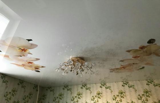 Фотопечать на натяжном потолке Сейчас фотопечать на натяжном потолке на пике популярности. Возможность украсить свой интерьер и сделать его неповторимым привлекает все больше и больше. Забавный котенок в детской, причудливая улитка в ванной, шикарный вид ночного мегаполиса в гостиной и тысячи других идей готов предложить Вам наш дизайнер. Натяжные потолки с фотопечатью также сохраняют все преимущества натяжных потолков и соответствуют всем необходимым стандартам.Как подобрать фотопечать на натяжной потолок? Мы предлагаем Вам на выбор несколько вариантов: