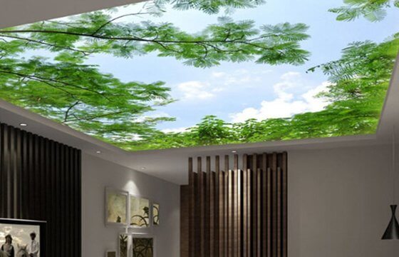 3д.n2f6u 3D потолки,натяжные 3D потолки Необходимое освещение для 3D натяжного потолка вы можете купить в нашей компании при заказе натяжного потолка.Безусловно, натяжные потолки с эффектом 3D это самый атмосферный вариант украшения интерьера. Наверняка вы видели 3D-граффити, которое буквально разрывает реальность и наполняет ее самым невообразимым? Теперь представьте, что такого же потрясающего эффекта можно достигнуть благодаря натяжным потолкам 3D.