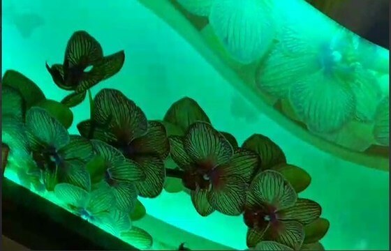 screenshot_1.j1hw8 3D потолки,натяжные 3D потолки Необходимое освещение для 3D натяжного потолка вы можете купить в нашей компании при заказе натяжного потолка.Безусловно, натяжные потолки с эффектом 3D это самый атмосферный вариант украшения интерьера. Наверняка вы видели 3D-граффити, которое буквально разрывает реальность и наполняет ее самым невообразимым? Теперь представьте, что такого же потрясающего эффекта можно достигнуть благодаря натяжным потолкам 3D.