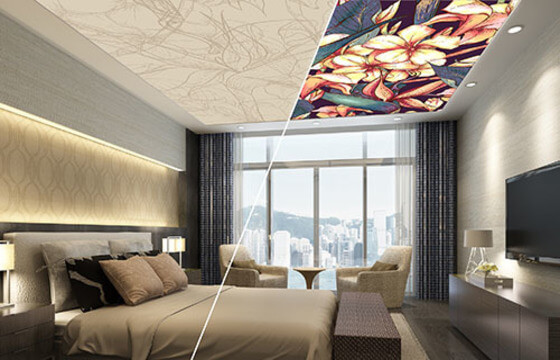 Twin ART Потолок Twin ART Vision, это «изюминка» вашего интерьера. Рисунок на таком потолке проявляется в зависимости от освещения. При дневном свете полотно будет выглядеть с одной фотопечатью или одноцветным, при включенной светодиодной подсветкой, расположенной за полотном, на натяжном потолке проявится иное изображение.