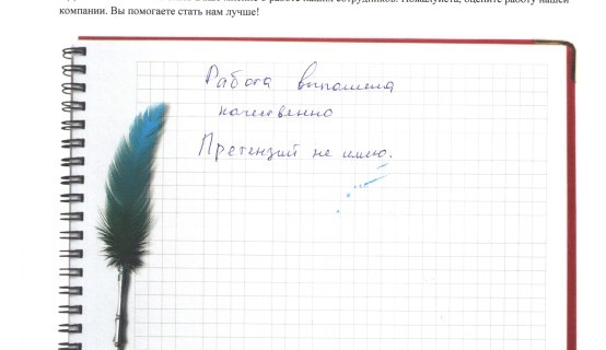 Работа выполнена качественно. Претензий не имею