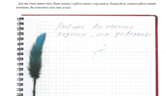 Работа выполнена хорошо. Мы довольны