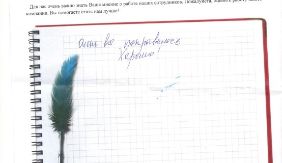 Очень все понравилось. Хорошо