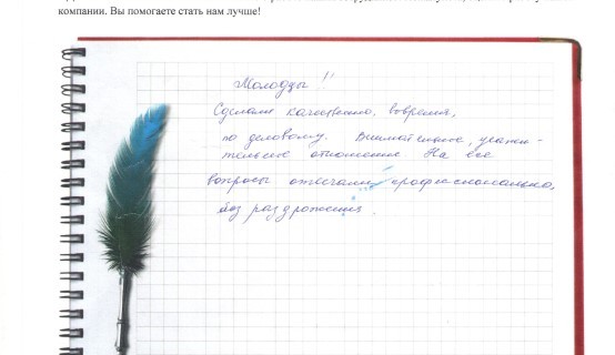 Молодцы! Сделали качественно, вовремя, по деловому